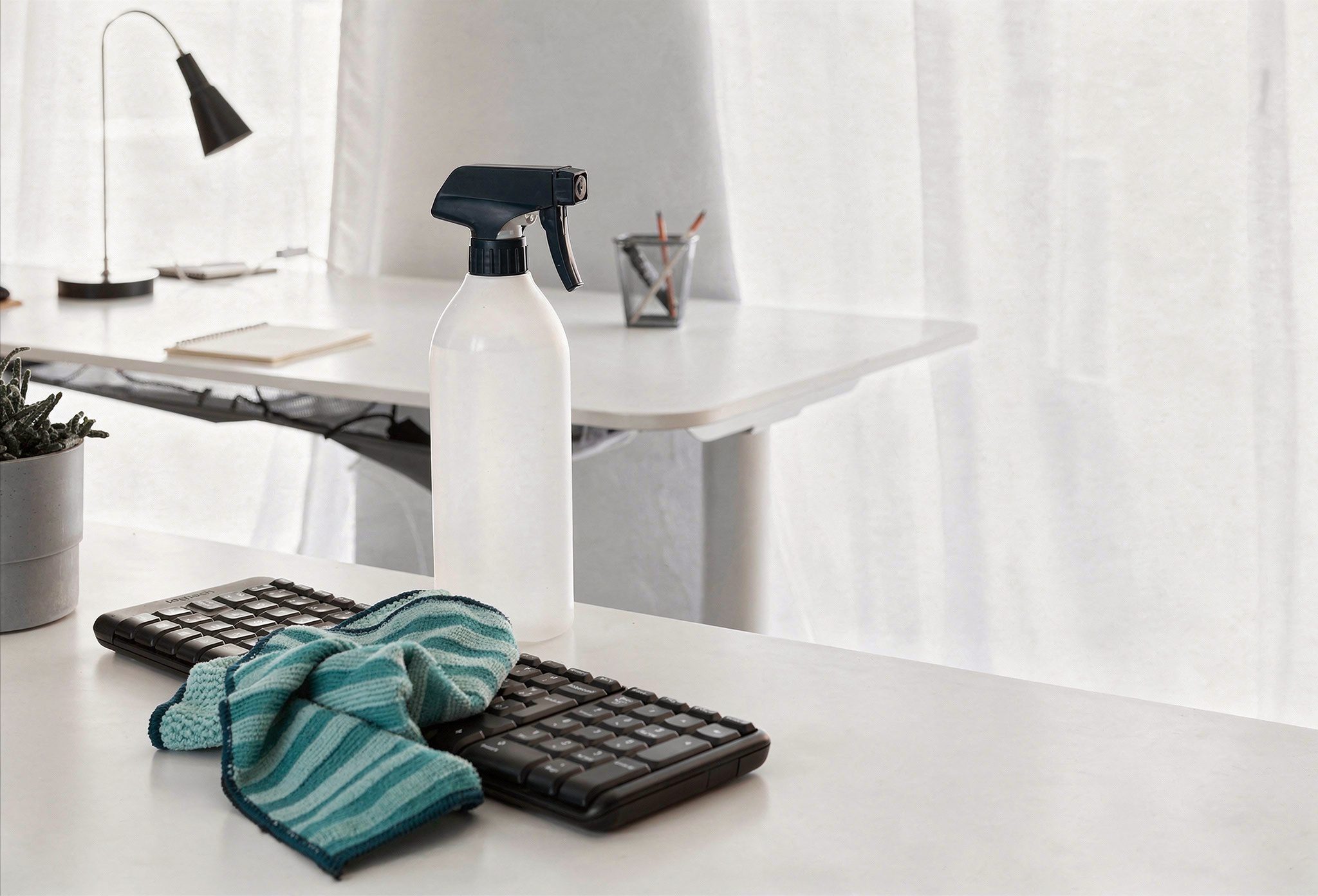 minimize germ spread between professional cleanings